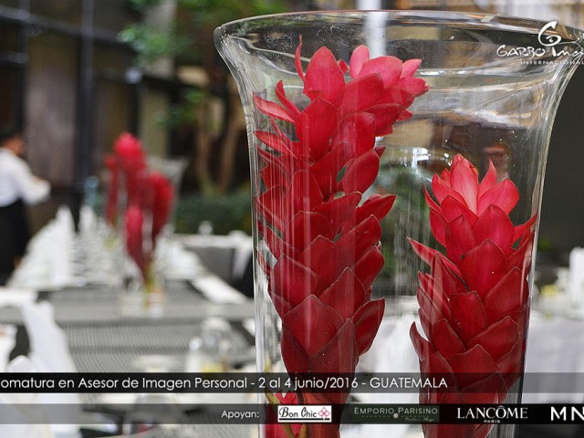 GarboImagen_AsesordeImagen_AnaRitaTorres_GT_Junio2016_10